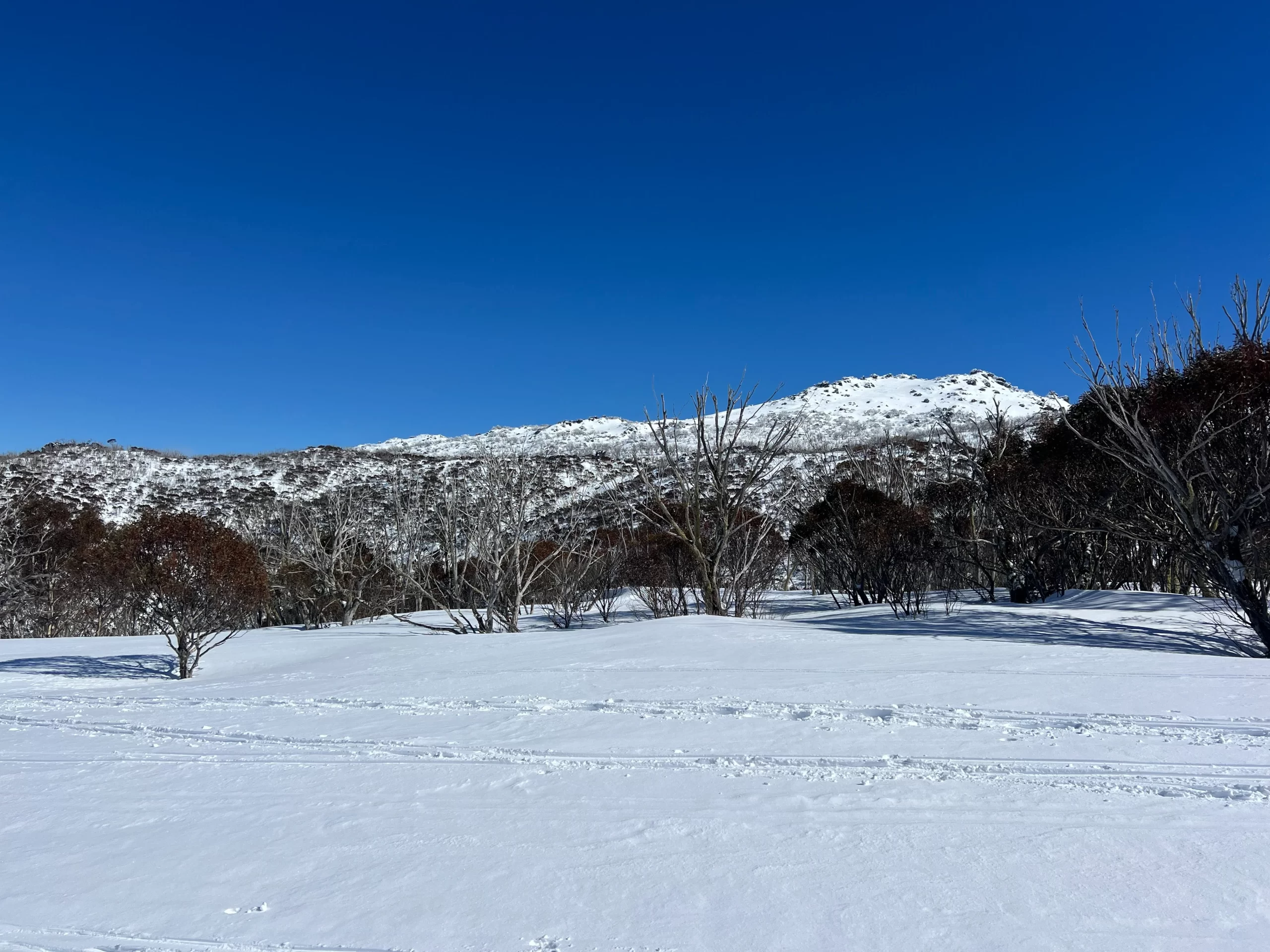 Camping in the Snowy Mountains